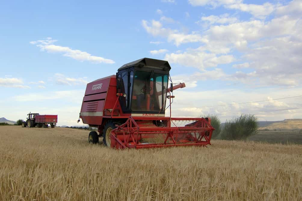 Productores vendieron casi 1 millón de toneladas de soja y acumulan 13,8 millones