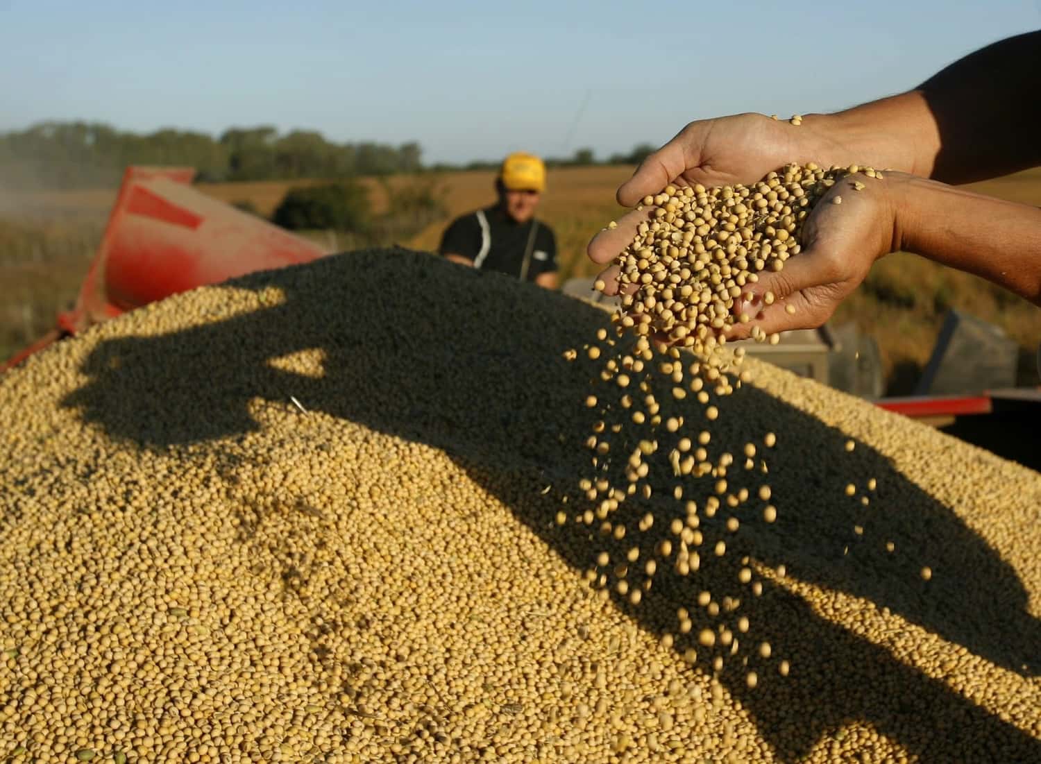 Productores vendieron por US$ 400 millones en el primer día del "dólar soja"