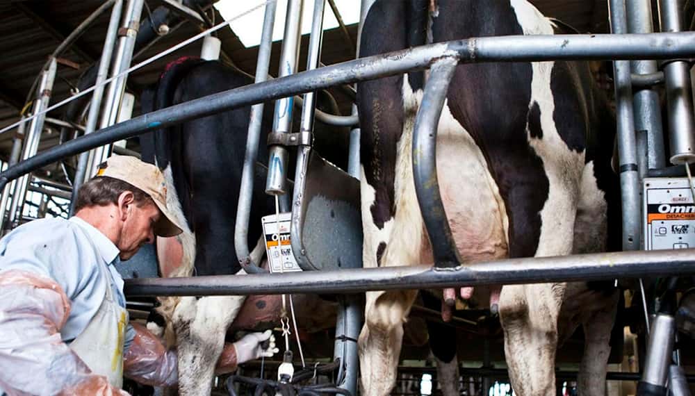 “Estamos tratando de llevar el litro de leche por debajo de los 40 pesos”